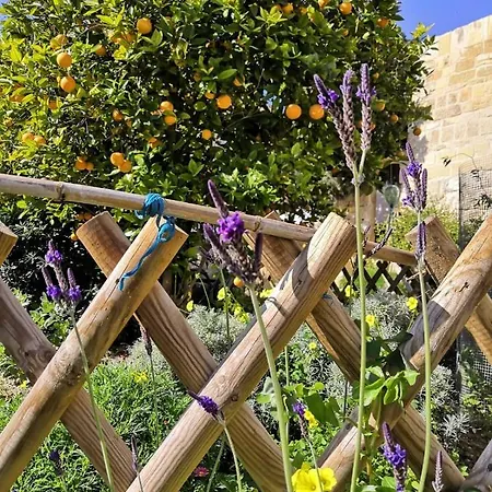 Farmhouse, Garden & View * Żebbuġ